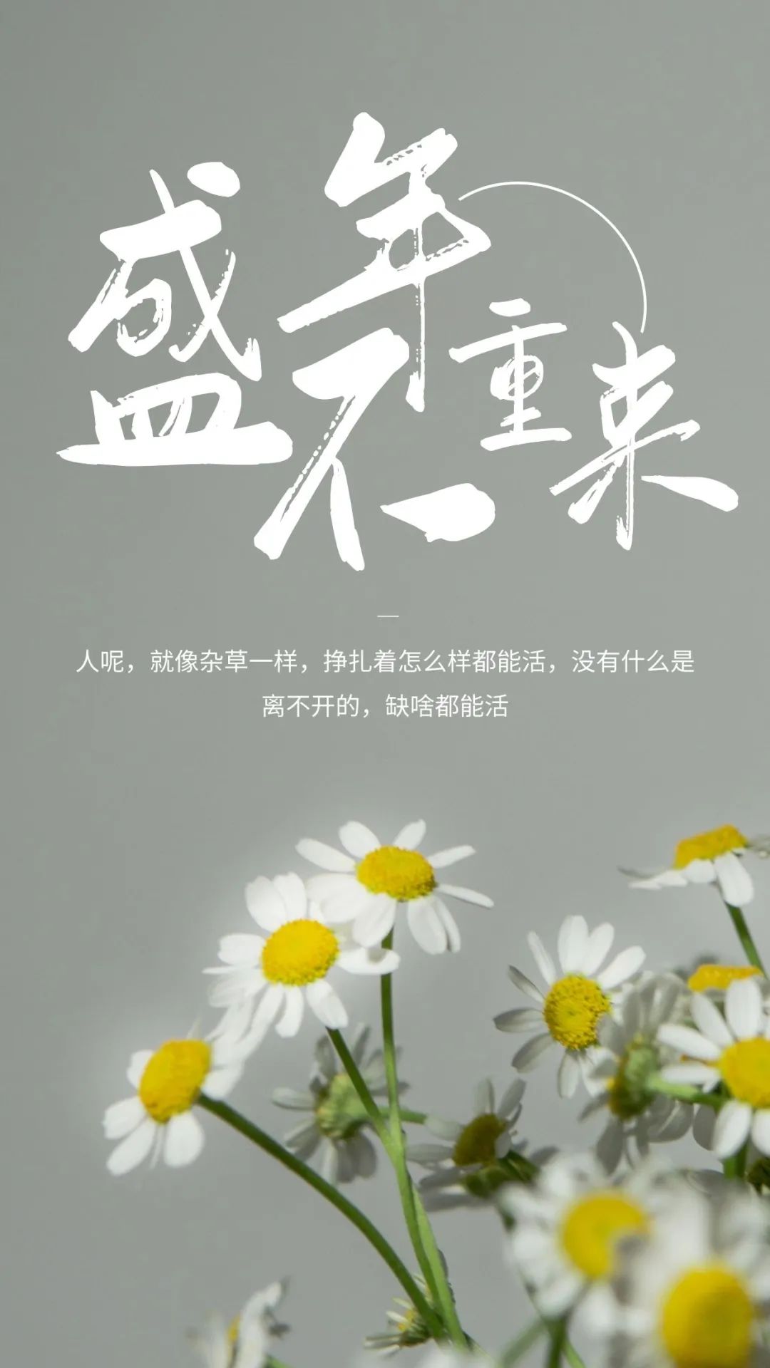很有能量的早安图片日签简单带字，周五朋友圈问候阳光语句