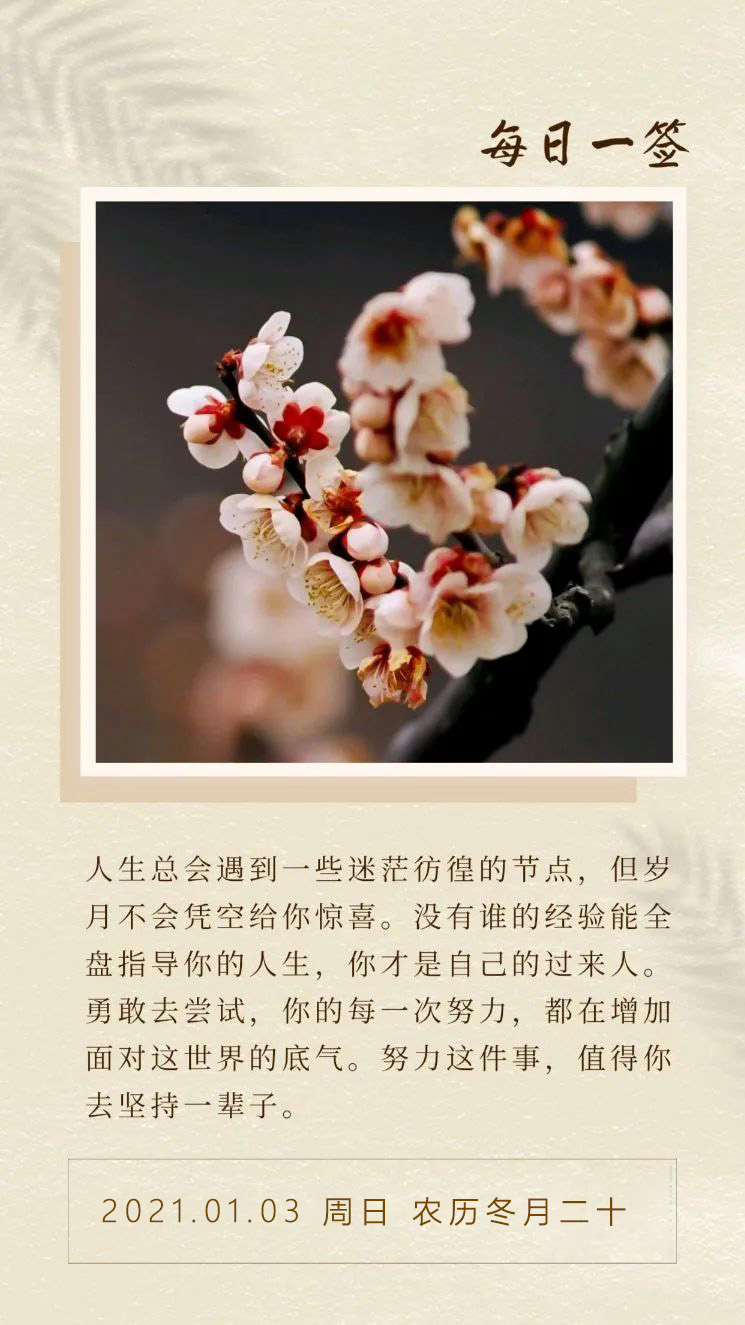 2021正能量早安心灵鸡汤：不放手，直到梦想到手！