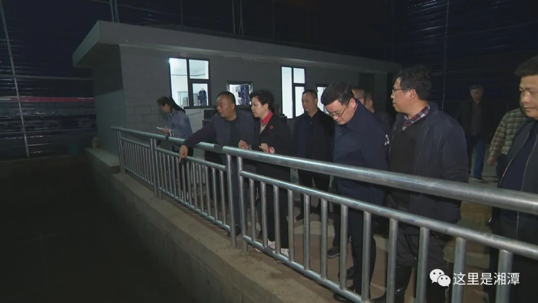 重视突出环境问题整改，湘潭市长张迎春夜访企业！