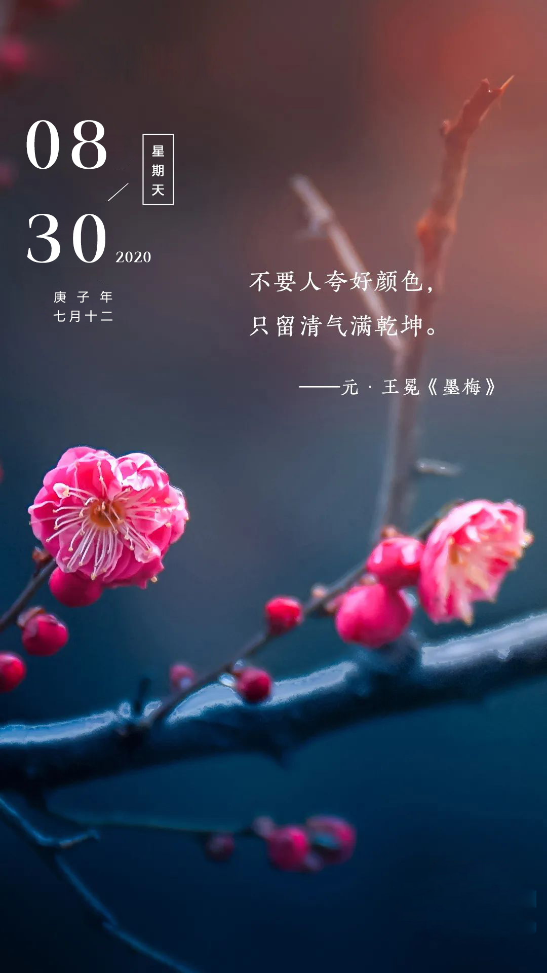 阳光奋斗周末早晨问候语语录带图片