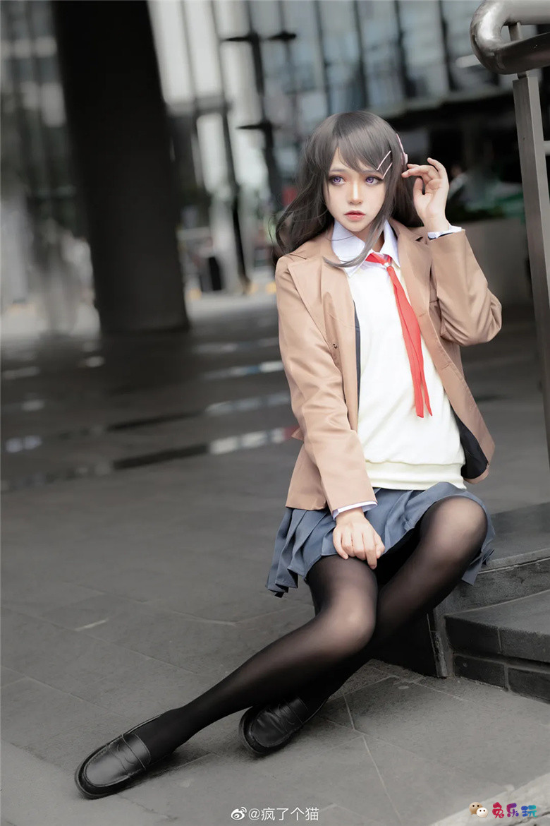 疯了个猫丨《青春猪头少年系列》樱岛麻衣