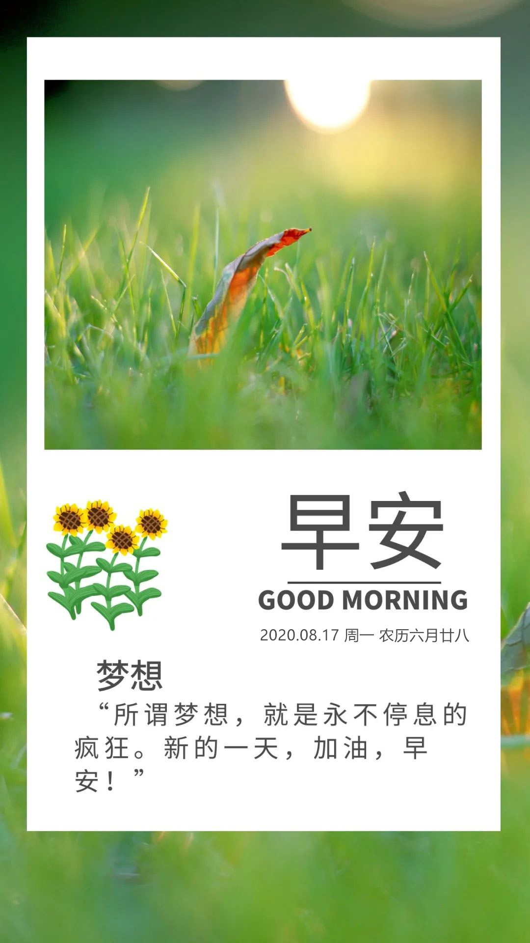 新周清早好励志问候语句子图片：所谓梦想，就是永不停息的疯狂