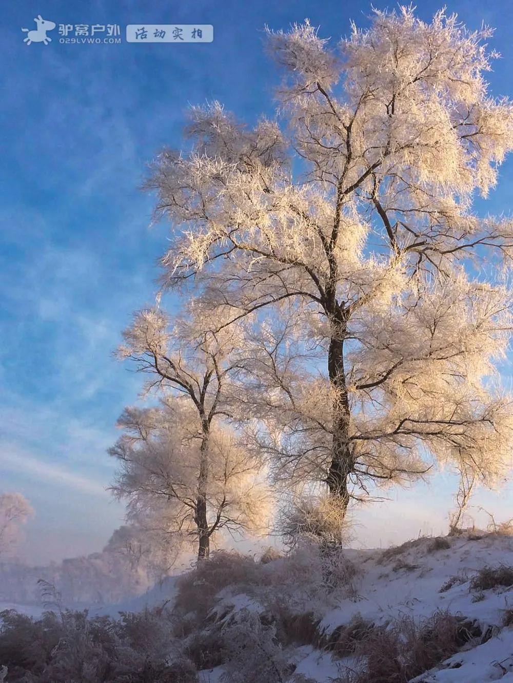 雪国列车 一路向北 走进精灵驯鹿的故乡 在漠河开启一场浪漫的新年际遇