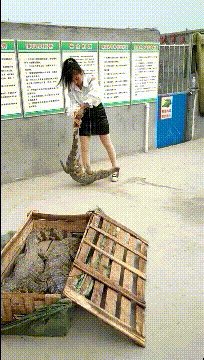 很幽默的GIF图片：非得逗人家，把妹子惹急了吧