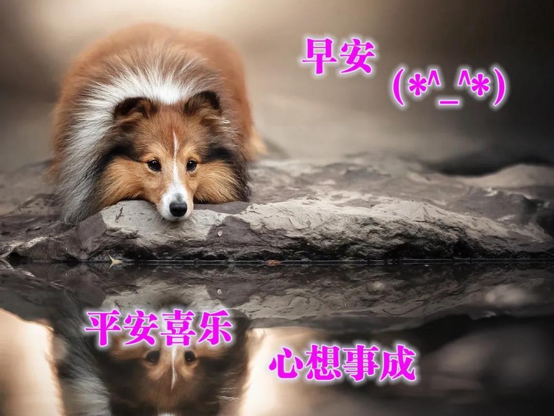 好看的早安问候图片带字简单