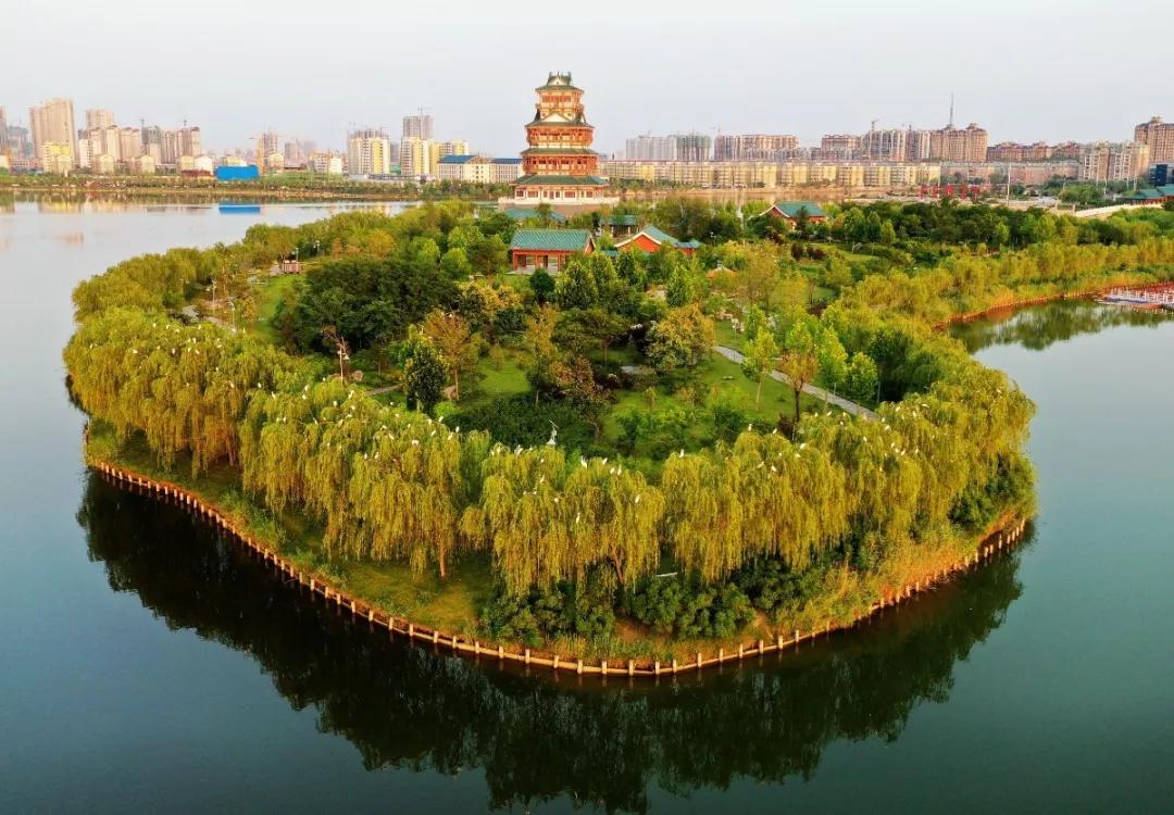 橙黄橘绿之时,菏泽这个县美景连连! - 海报新闻