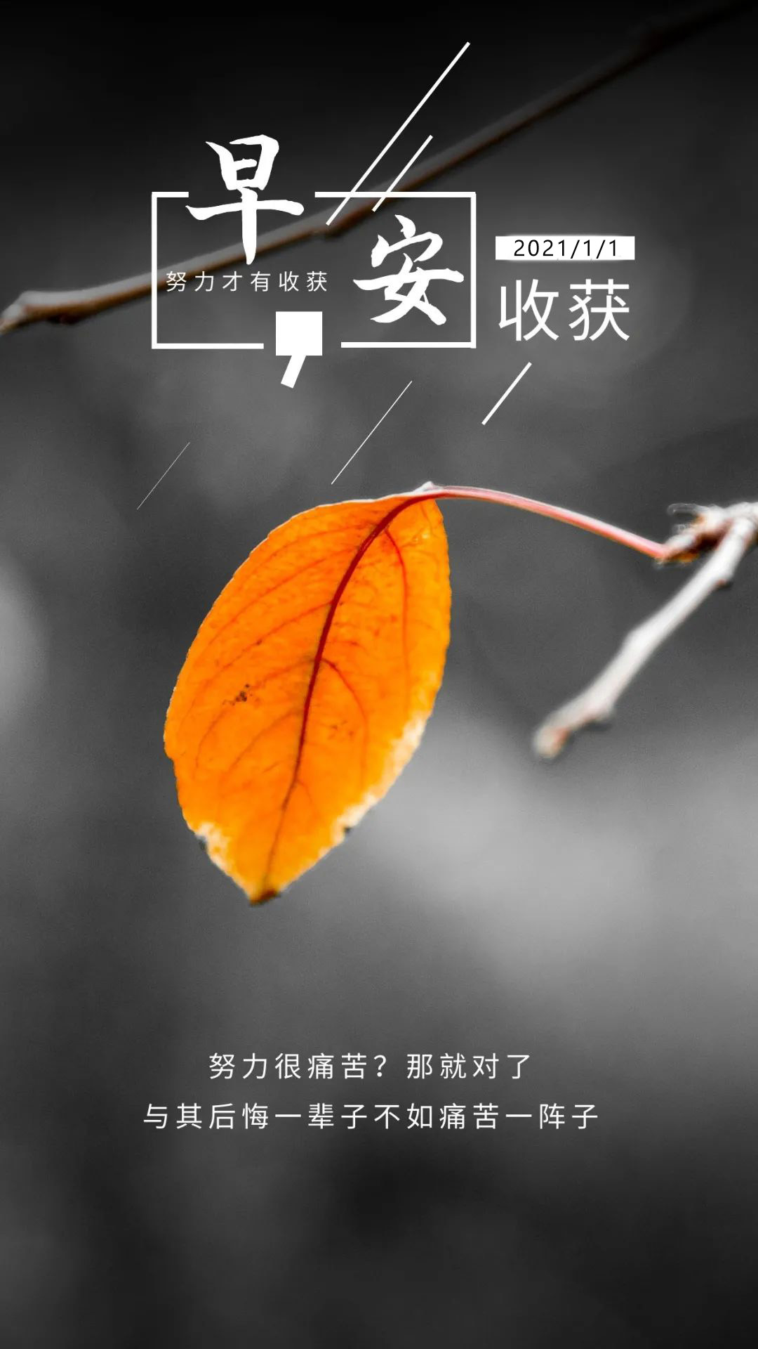2021年第一天的图片配图日签，1月1日正能量温暖文案说说