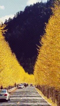 爆搞笑的gif图片：花大钱娶来的媳妇，我怎么能让她站着掰玉米