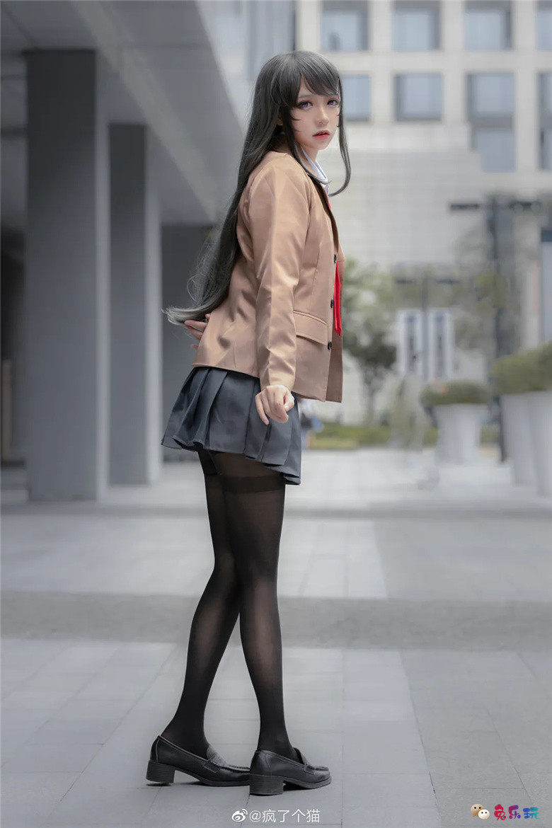 疯了个猫丨《青春猪头少年系列》樱岛麻衣