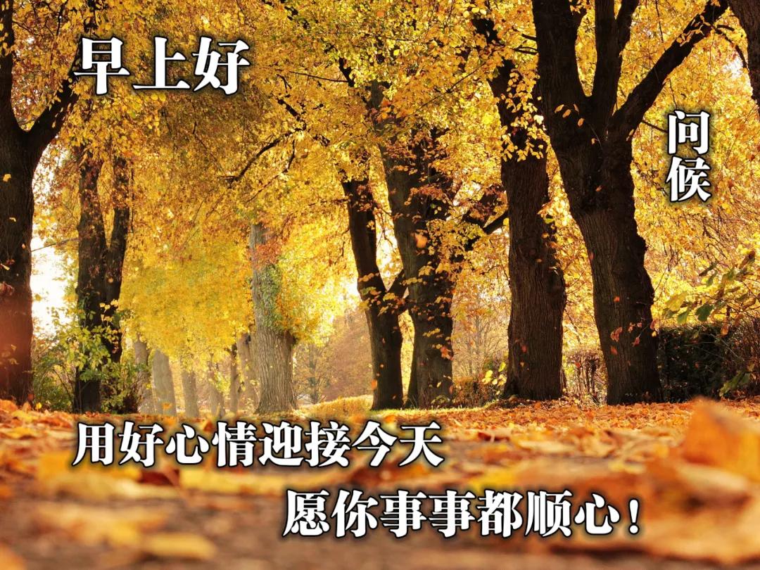 好看的早安问候图片带字简单