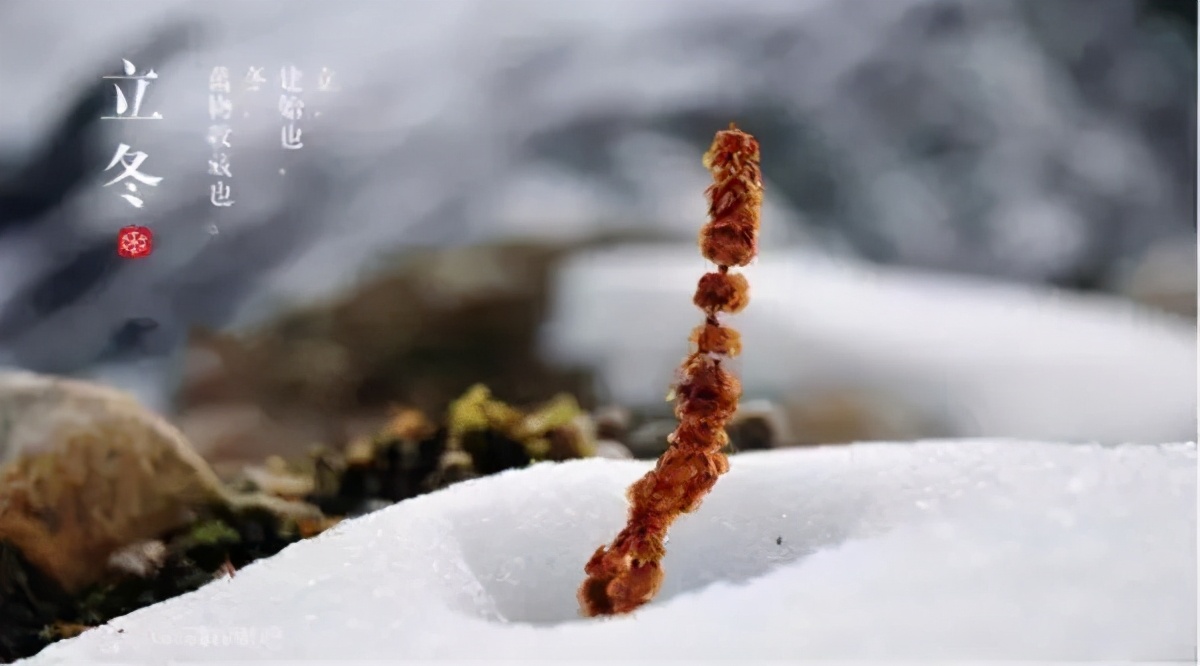 立冬节气寄语祝福语句配图