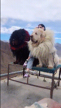 朋友介绍的相亲对象，哥远远地就知道我们不合适