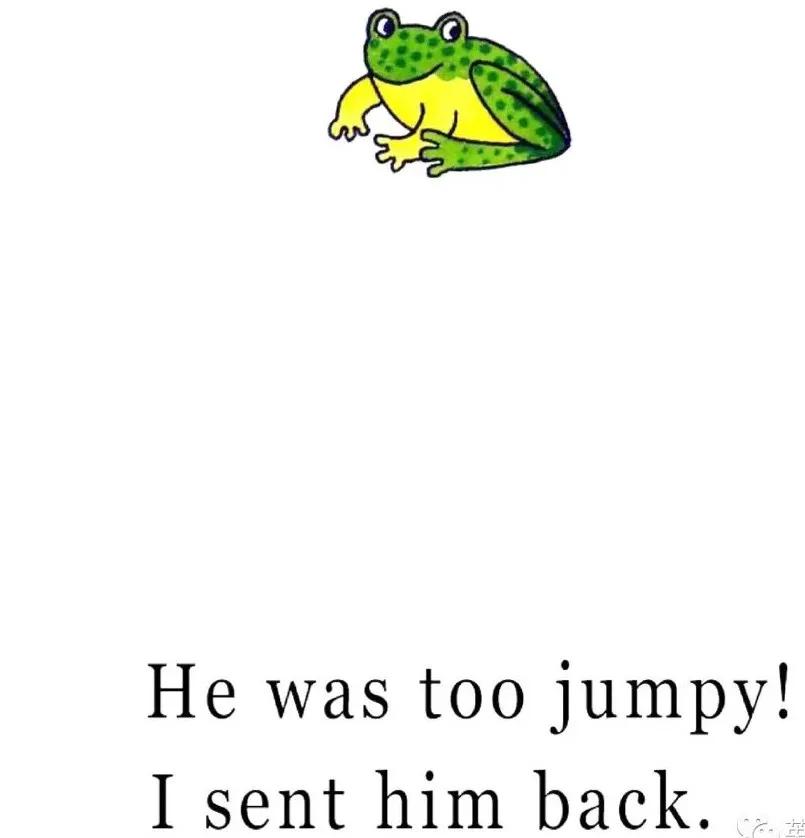 销量200万册的英语绘本故事野生动物园dearzoo音频pdf点读包拓展包