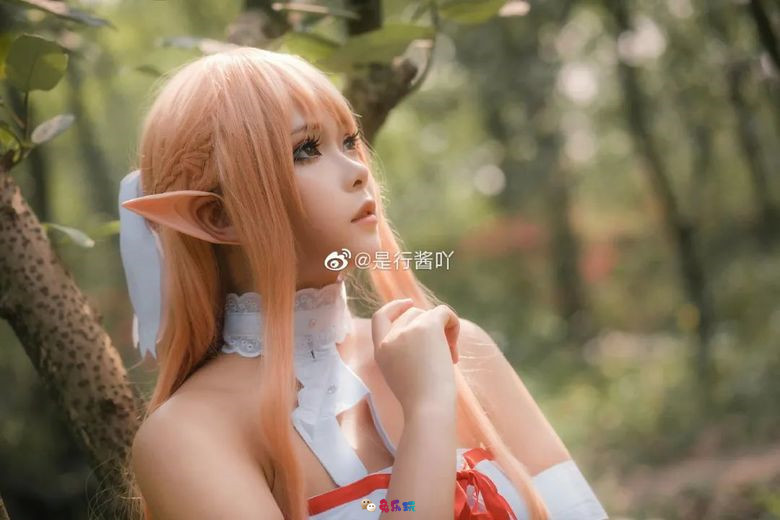 是行酱吖丨《刀剑神域》亚丝娜