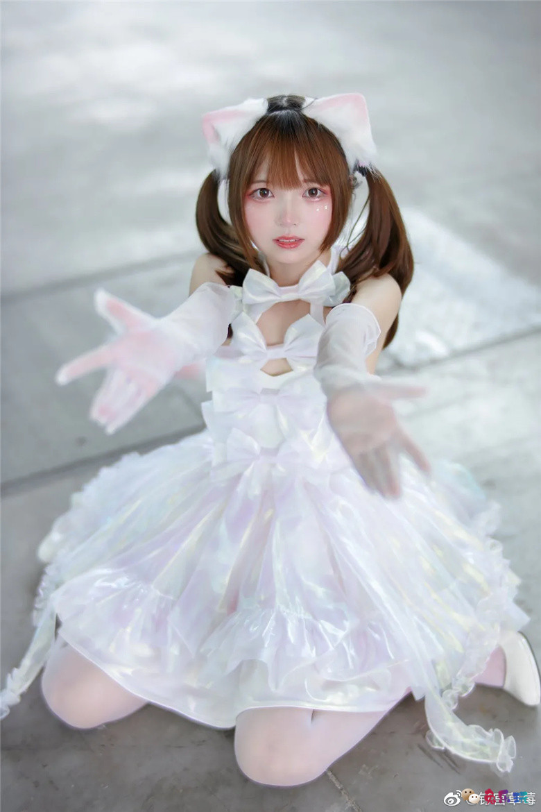 钉宫草莓丨小猫咪