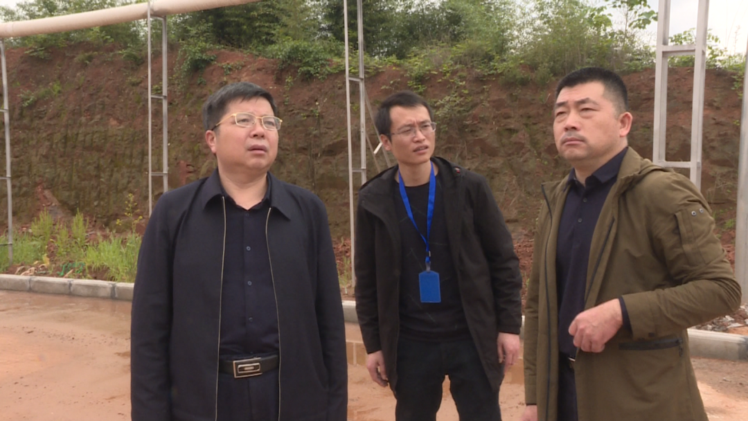 谭海洋：坚持以零容忍态度整改园区突出生态环境问题