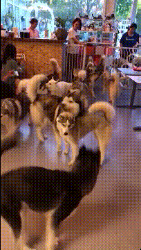 八掛海和斋藤亚美