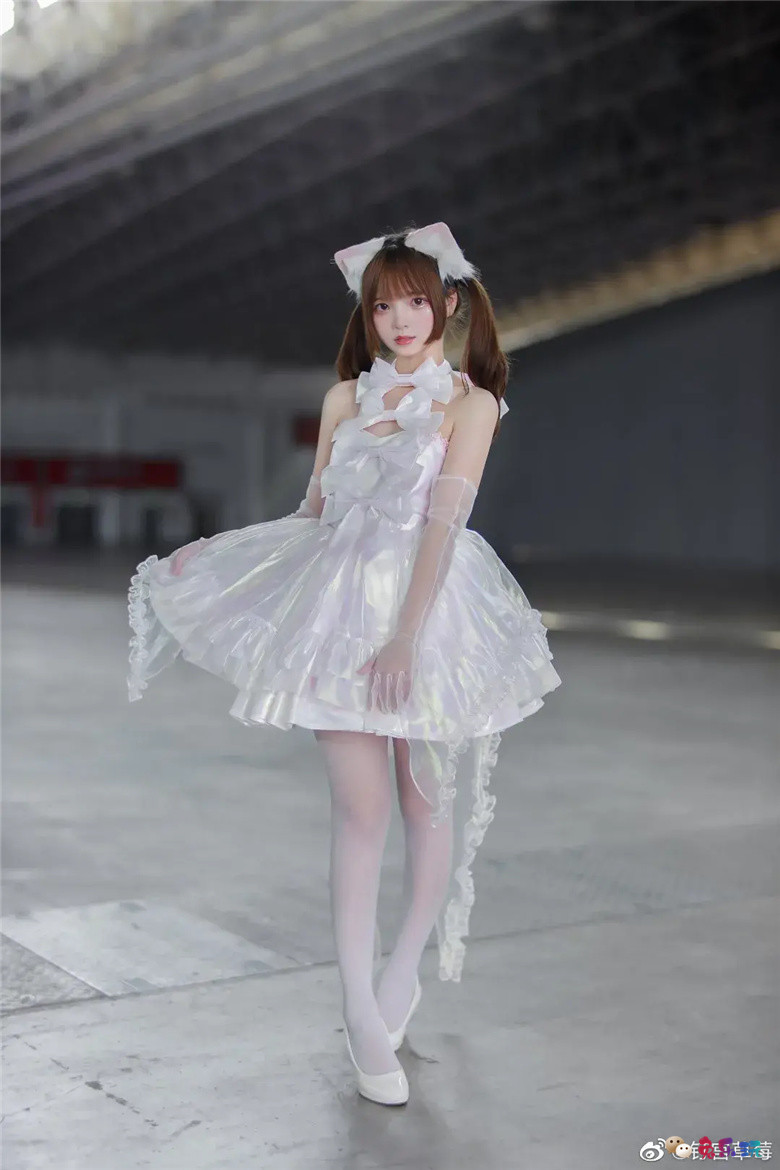 钉宫草莓丨小猫咪