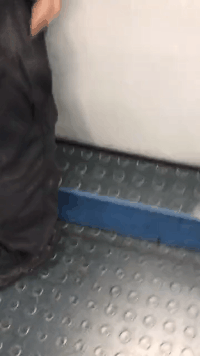 搞笑动图：备胎的究极状态，亮瞎了我的狗眼