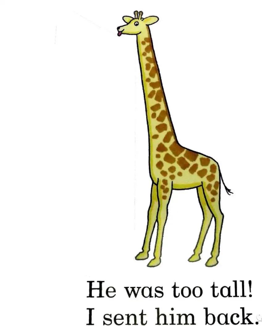 销量200万册的英语绘本故事野生动物园dear zoo音频 pdf 点读包 拓展