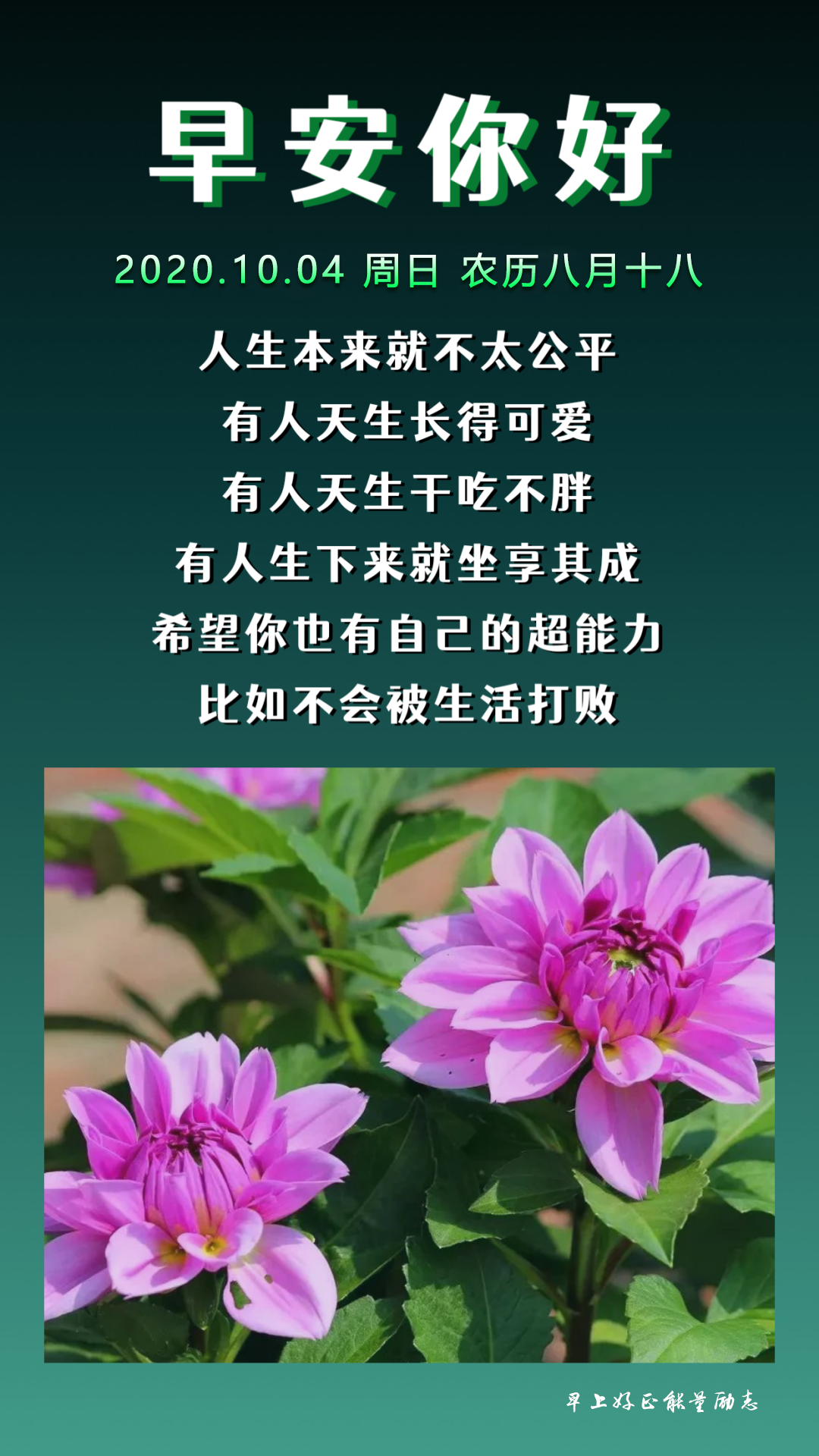 早安加油勉励的句子语录带图片文字