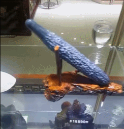 有意思的搞笑gif：是她是她就是她，就是这个味！